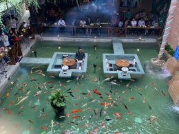 quán cafe cá koi ở Nha Trang