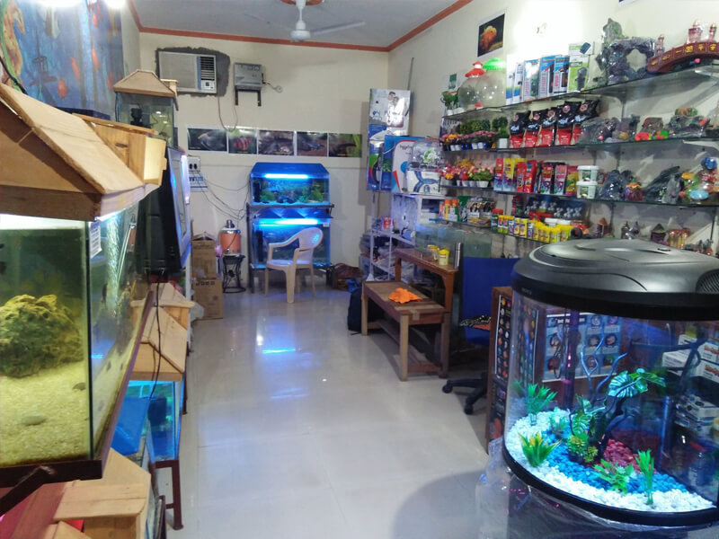 Shop Thủy Tiên - Cá cảnh ở Nha Trang