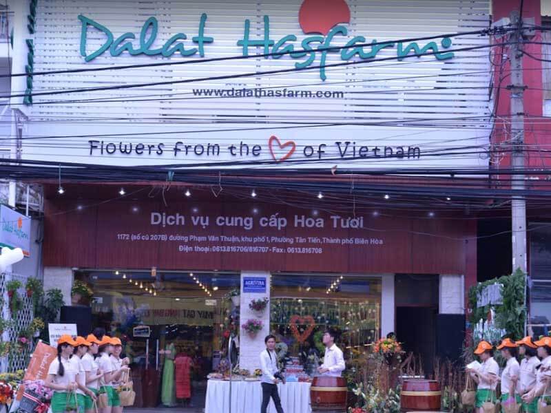 Dalat Hasfarm - Shop hoa tươi ở Biên Hòa được yêu thích