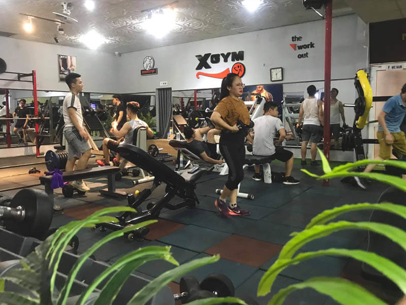 X-GYM Fitness - Phòng gym ở Vinh